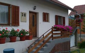 Apartman Nina
